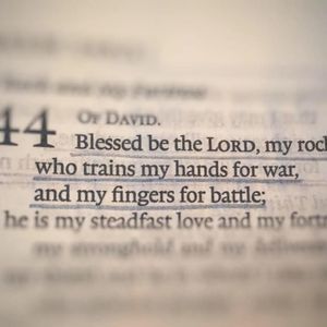 Meet your Posher, Jonathan